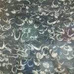 แบล็คเชลล์ (BLACK  SHELL)