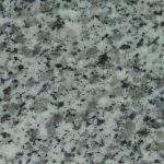 ขาวจีน (CHINESE WHITE)