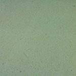 ครีมโนว่า (CREAM NOVA)