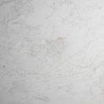 ไวท์วีนัส (WHITE  VENUS)